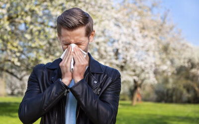 Relieve Allergies with Chiropractic Care