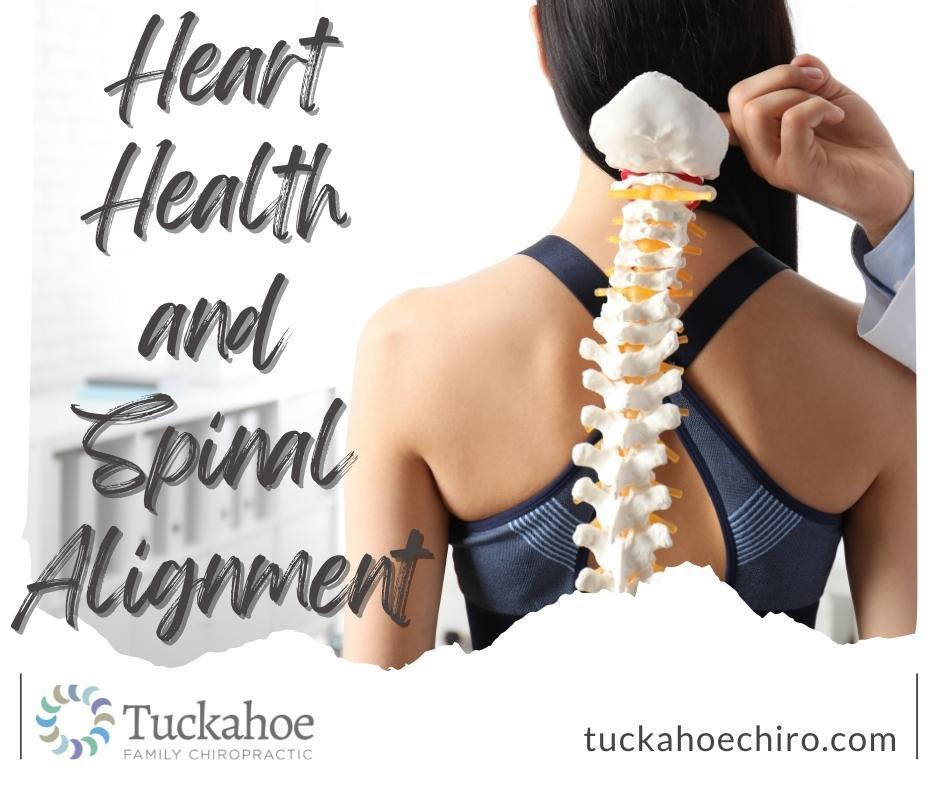 Maintaining a healthy heart is crucial for overall well-being. While exercise, diet, and managing stress are well-known contributors to heart health, there's a lesser-known factor that can play a significant role: spinal alignment.