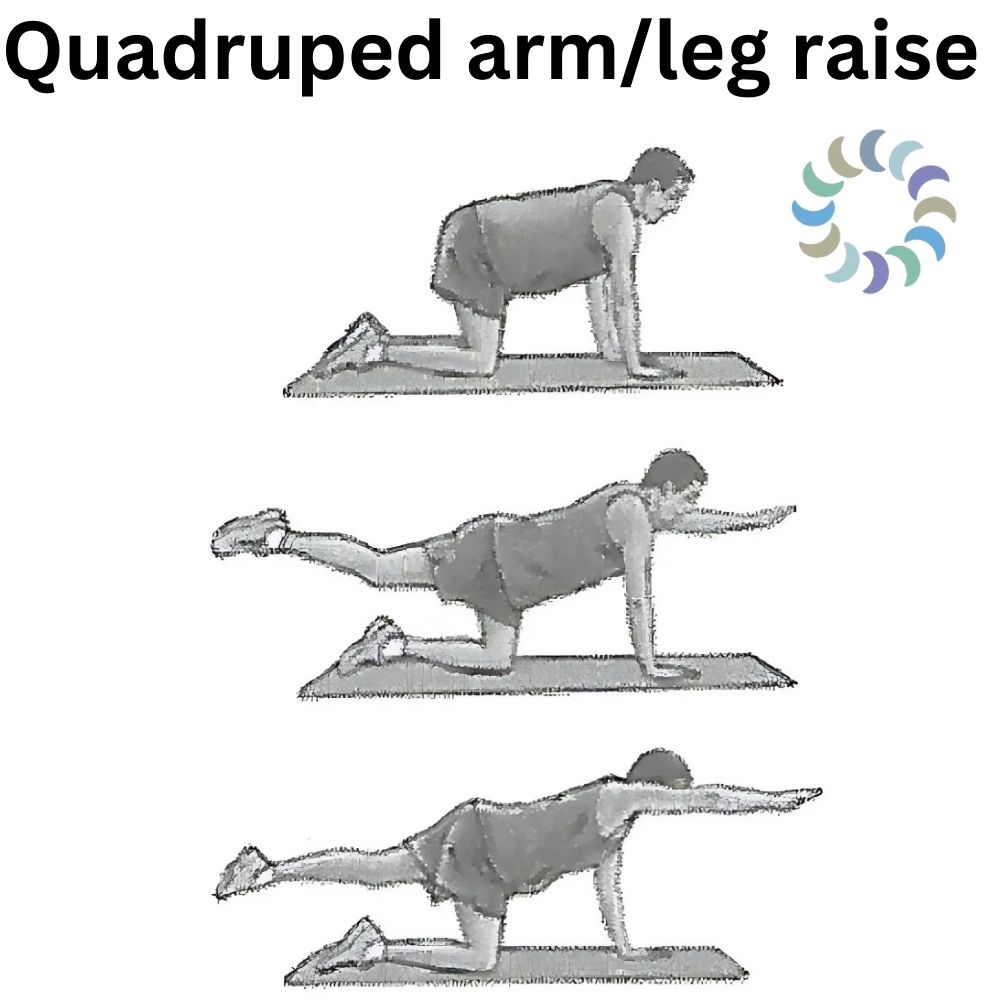 Dr. Lombardozzi recommends the Quadruped arm/leg raise exercises for Low back Pain