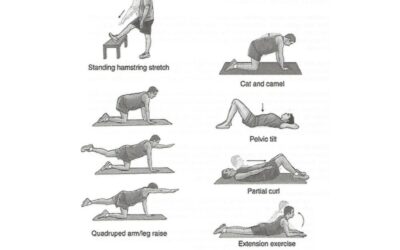 Low Back Pain Exercises that Dr. Lombardozzi Recommends.