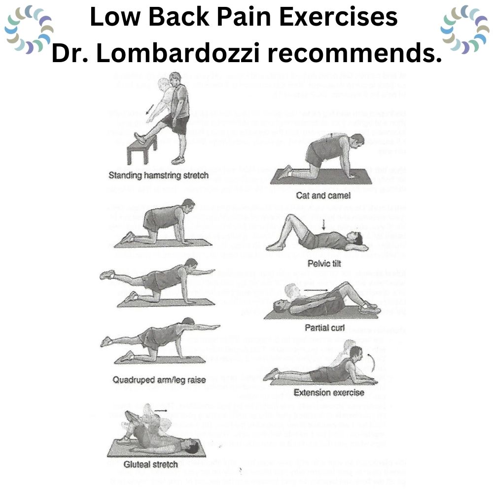 Low Back Pain Exercises that Dr. Lombardozzi Recommends.